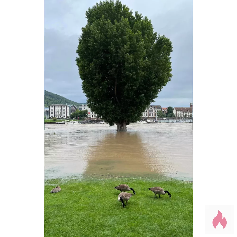 Dauerfreundschaft plus Er sucht Sie - Baden-Württemberg / Heidelberg - Kontaktanzeige