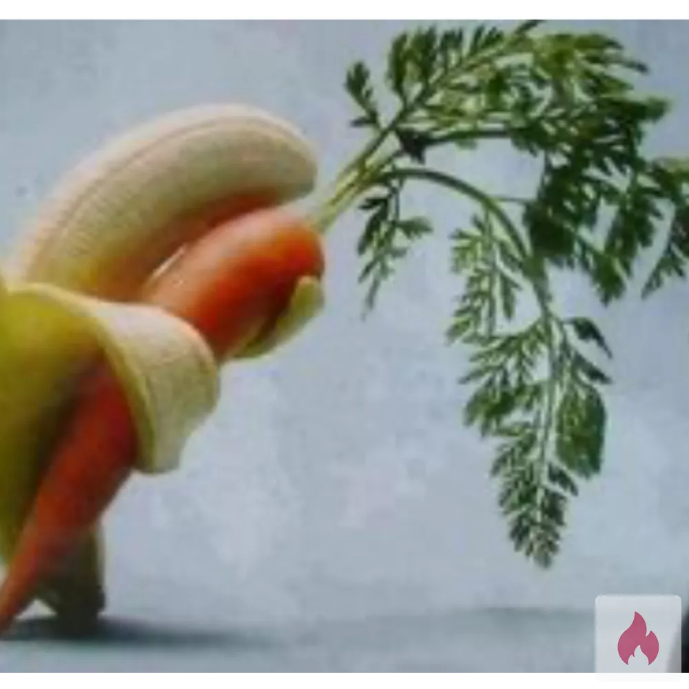 Banane sucht junges Gemüse f regelmäßigem Gf6 gg TG - Berlin / Mitte - Kontaktanzeige