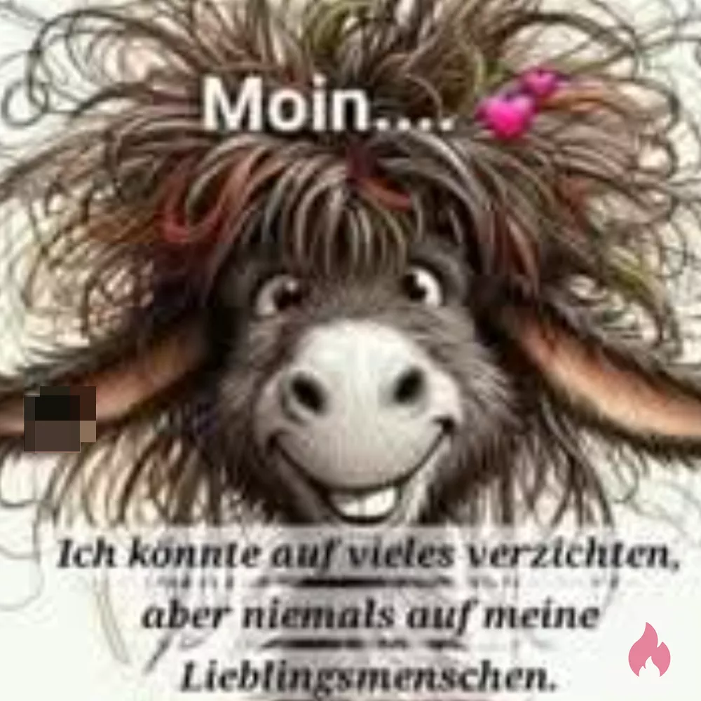 Cam Sex Chat  ???? - Sachsen / Vogtlandkreis - Kontaktanzeige