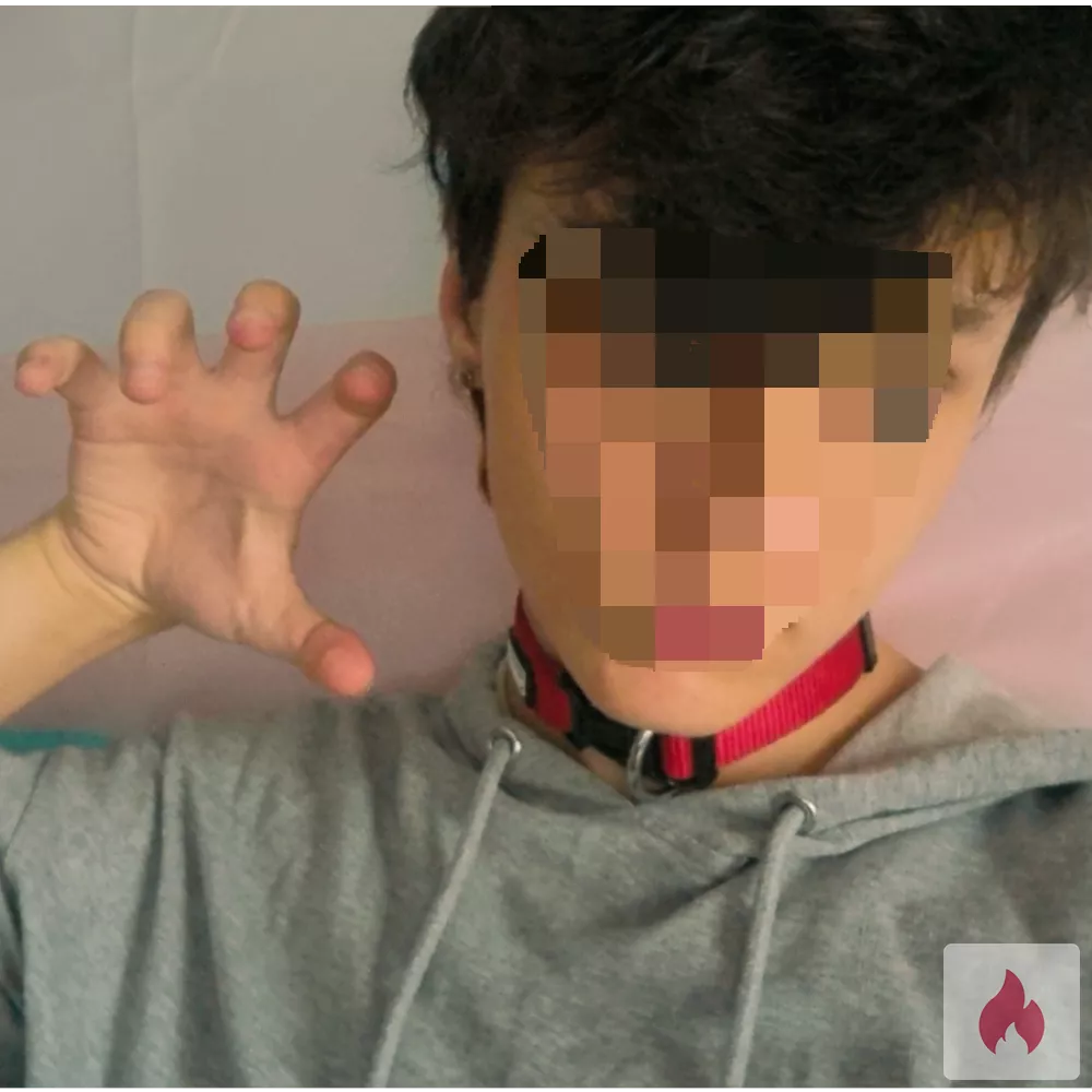 18-jähriger FTM Femboy sucht großzügigen Daddy ???? - Berlin / Charlottenburg-Wilmersdorf - Kontaktanzeige