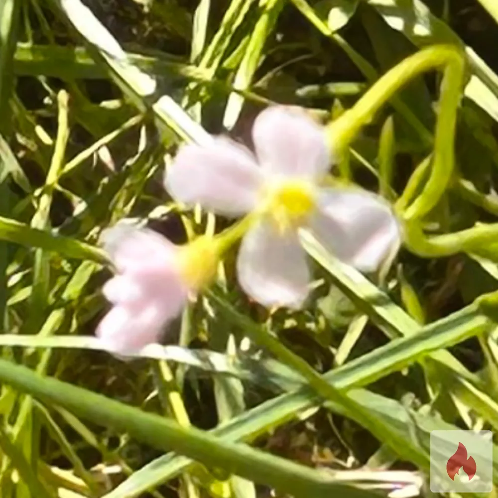 Hart und willig - Niedersachsen / Landkreis Osnabrück - Kontaktanzeige