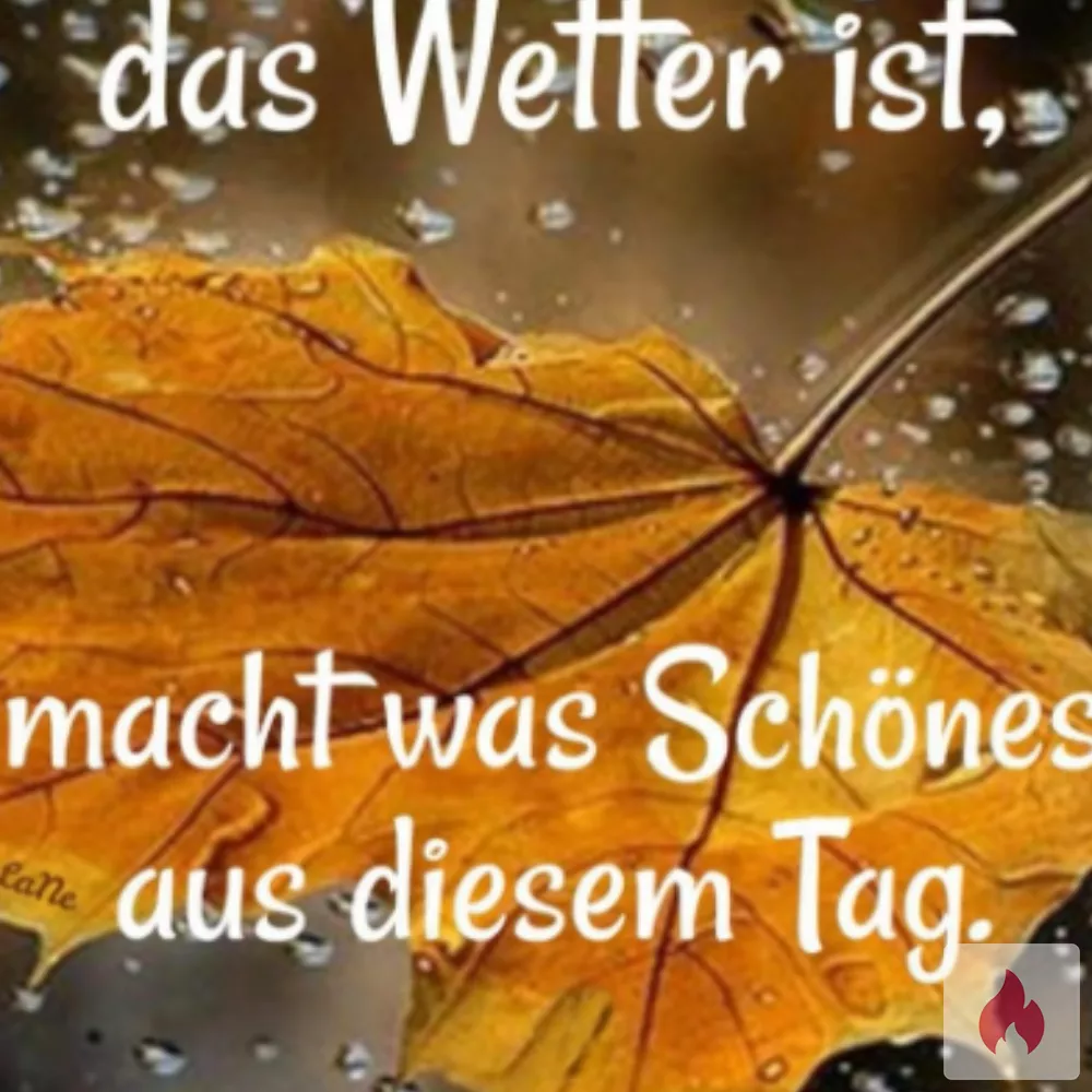 Cuckoldfantasien/ Cumtributes  - Nordrhein-Westfalen / Köln - Kontaktanzeige