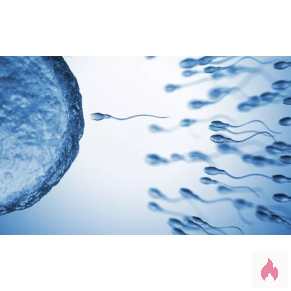 Besambare Sie gesucht - Hessen / Hochtaunuskreis - Kontaktanzeige