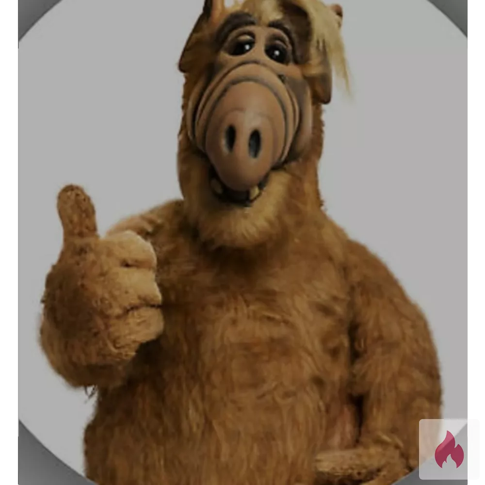 Vögeltreffen gesucht - Nordrhein-Westfalen / Städteregion Aachen - Kontaktanzeige