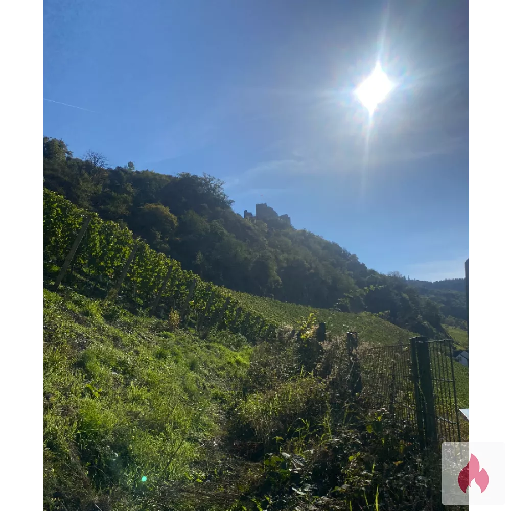 Suche Sie mit Sub-Neigungen  - Nordrhein-Westfalen / Solingen - Kontaktanzeige