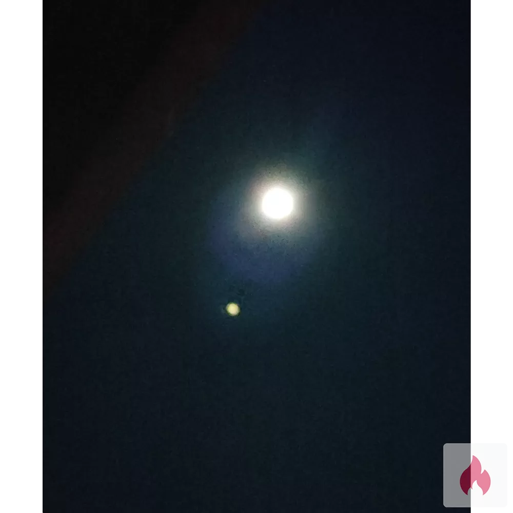 Hausmann sucht Hausfrau! - Baden-Württemberg / Ostalbkreis - Kontaktanzeige