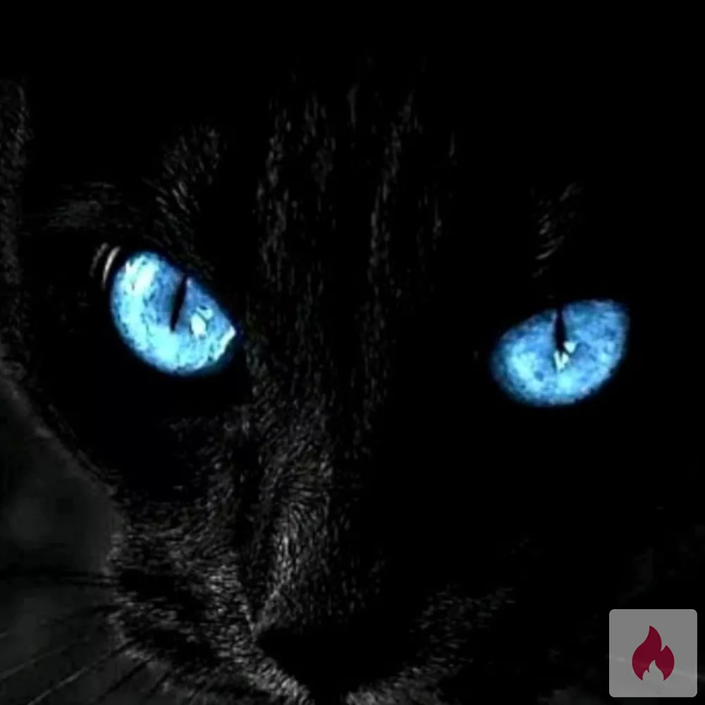 suche Sie ab 18j für erotische Taschengeld Treffen  - Berlin / Friedrichshain-Kreuzberg - Kontaktanzeige