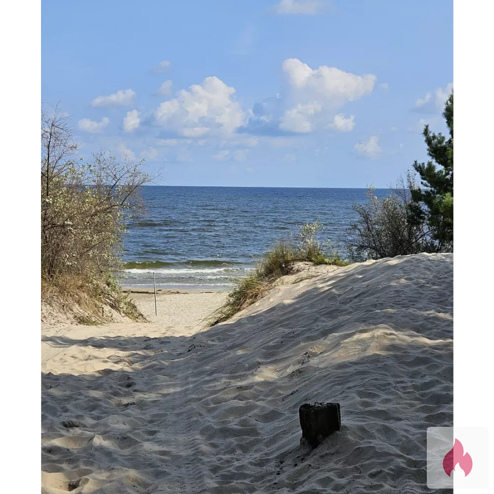 Suche eine Frau für Leidenschaft und Sex - Sachsen-Anhalt / Magdeburg - Kontaktanzeige