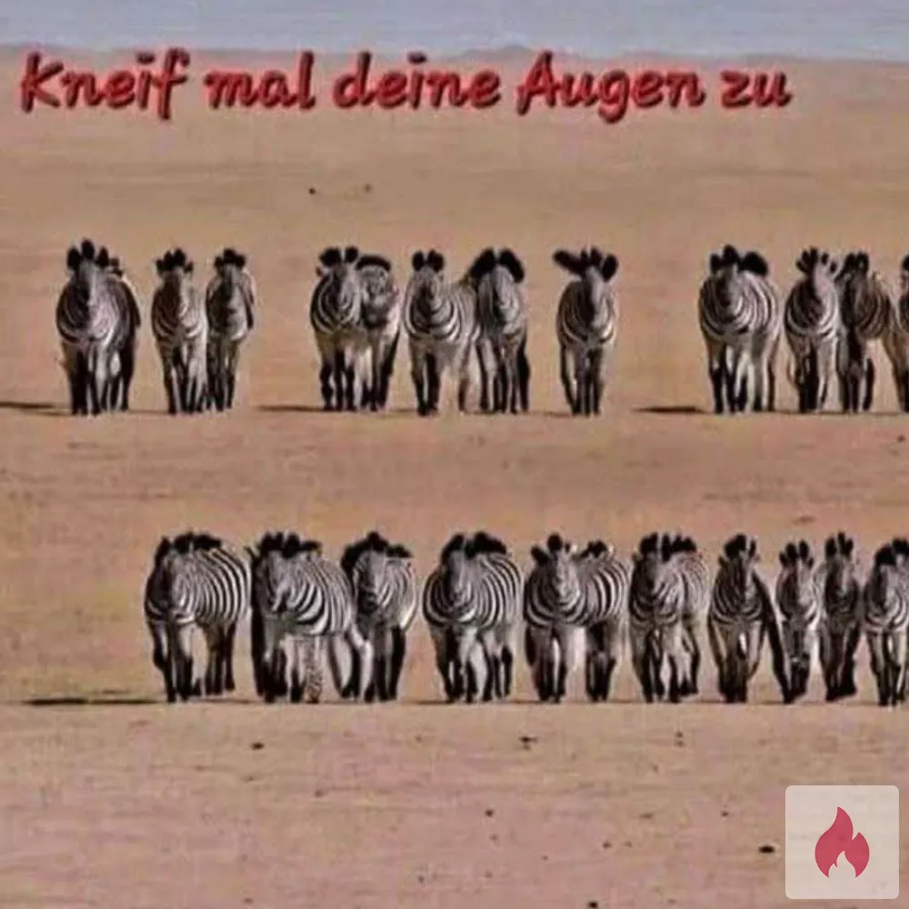 Suche BBW SSBBW Frauen  - Nordrhein-Westfalen / Hochsauerlandkreis - Kontaktanzeige