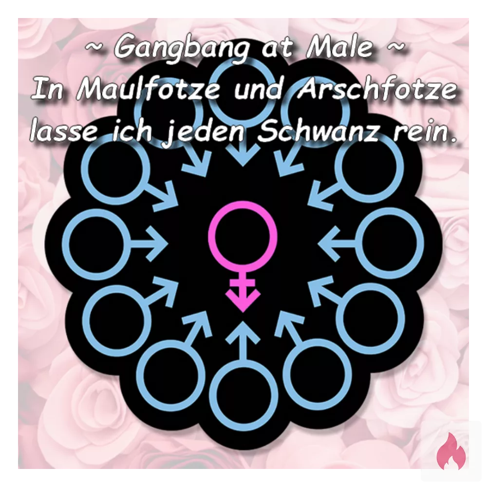 Suche neugierige Schwanzträger für Gangbang at Male. - Rheinland-Pfalz / Speyer - Kontaktanzeige