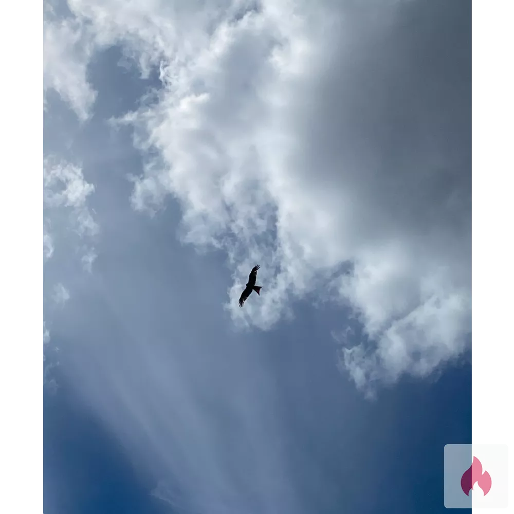 Suche eine Dame für diskrete Treffen  - Nordrhein-Westfalen / Solingen - Kontaktanzeige