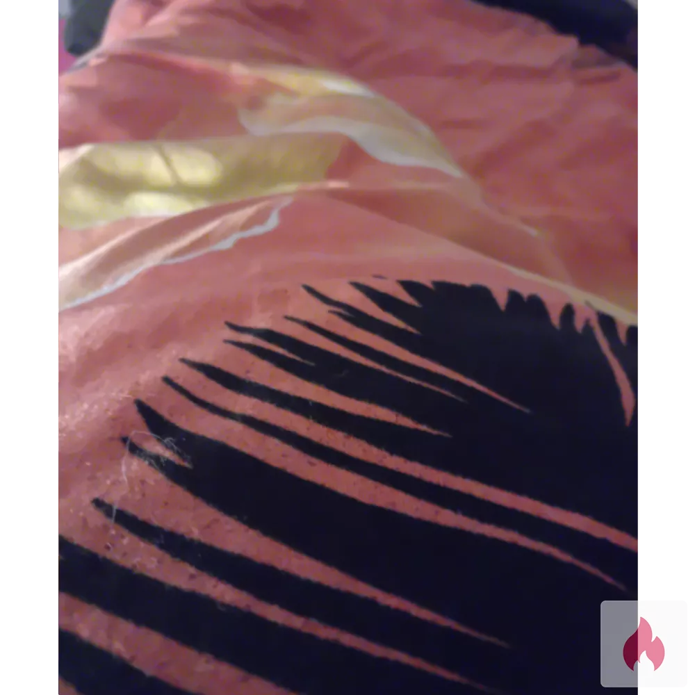 Suche Frau bis 30 Jahre ohne Piercings gegen TG - Bayern / Bamberg - Kontaktanzeige