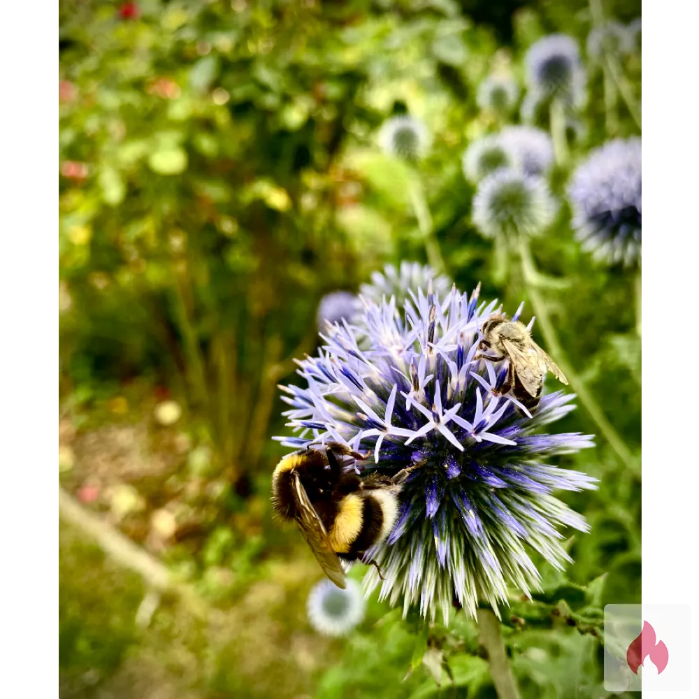 Devote Sie gesucht. - Nordrhein-Westfalen / Düsseldorf - Kontaktanzeige