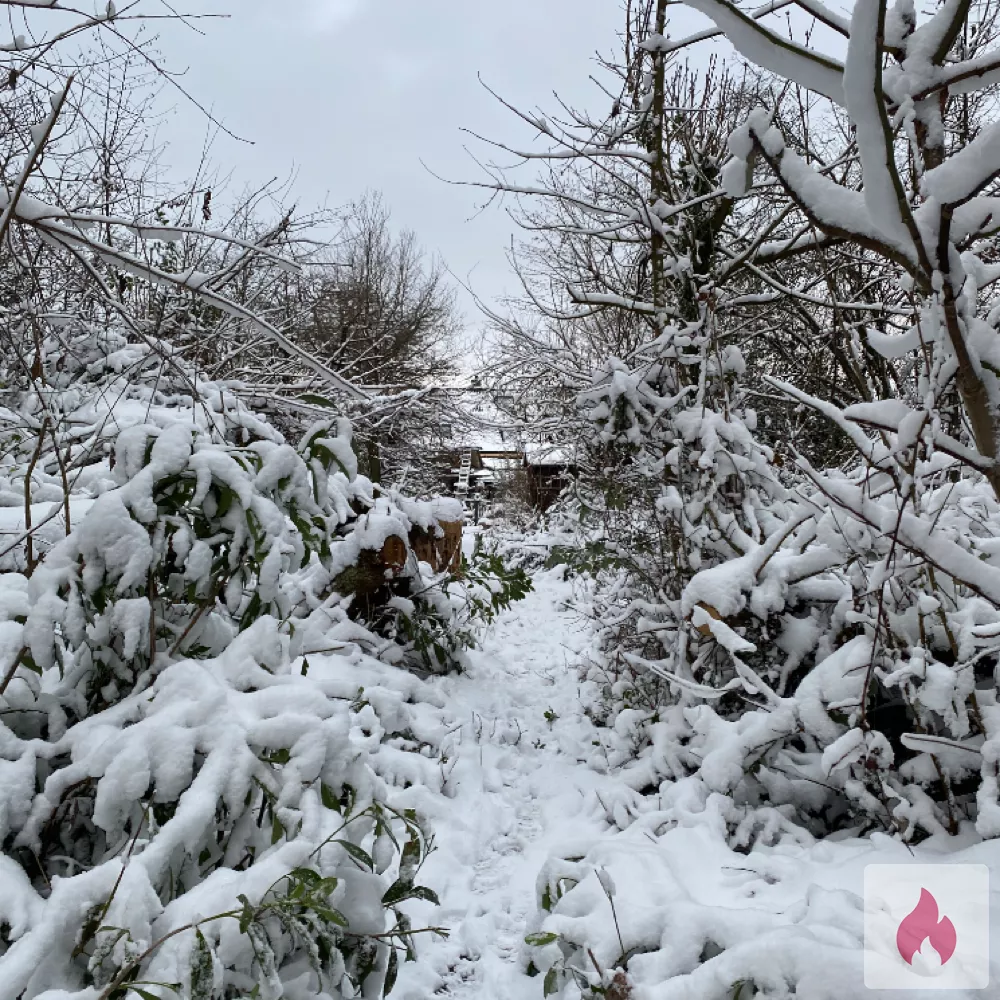 Perverse Sau gesucht - Nordrhein-Westfalen / Solingen - Kontaktanzeige