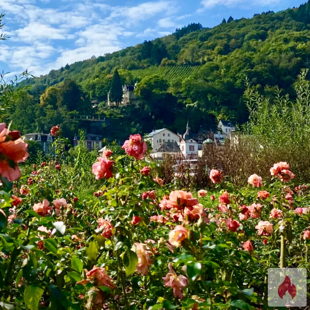 Suche Dich für gelegentliche Auszeit  - Nordrhein-Westfalen / Kreis Mettmann - Kontaktanzeige