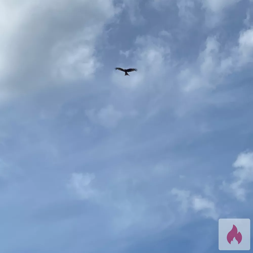 Erotische Treffen gesucht  - Nordrhein-Westfalen / Solingen - Kontaktanzeige