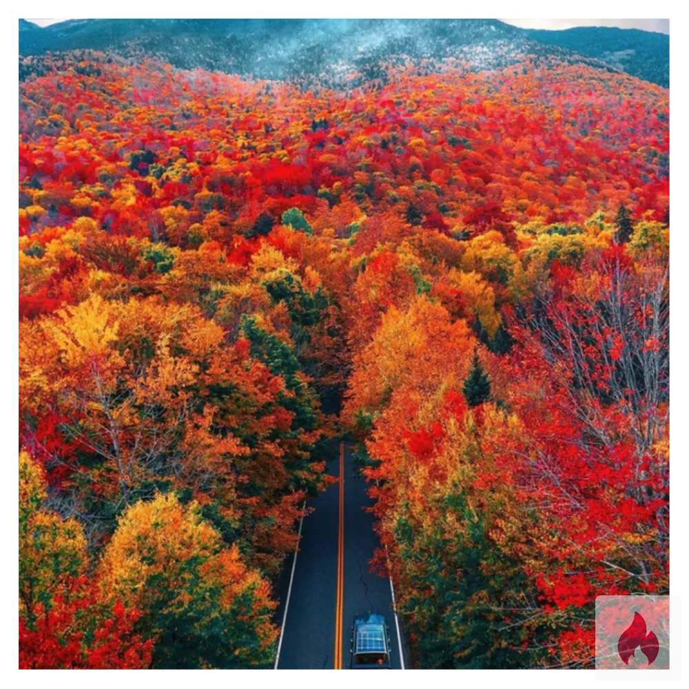 BBC  sucht leck und sex - Baden-Württemberg / Karlsdorf-Neuthard - Kontaktanzeige