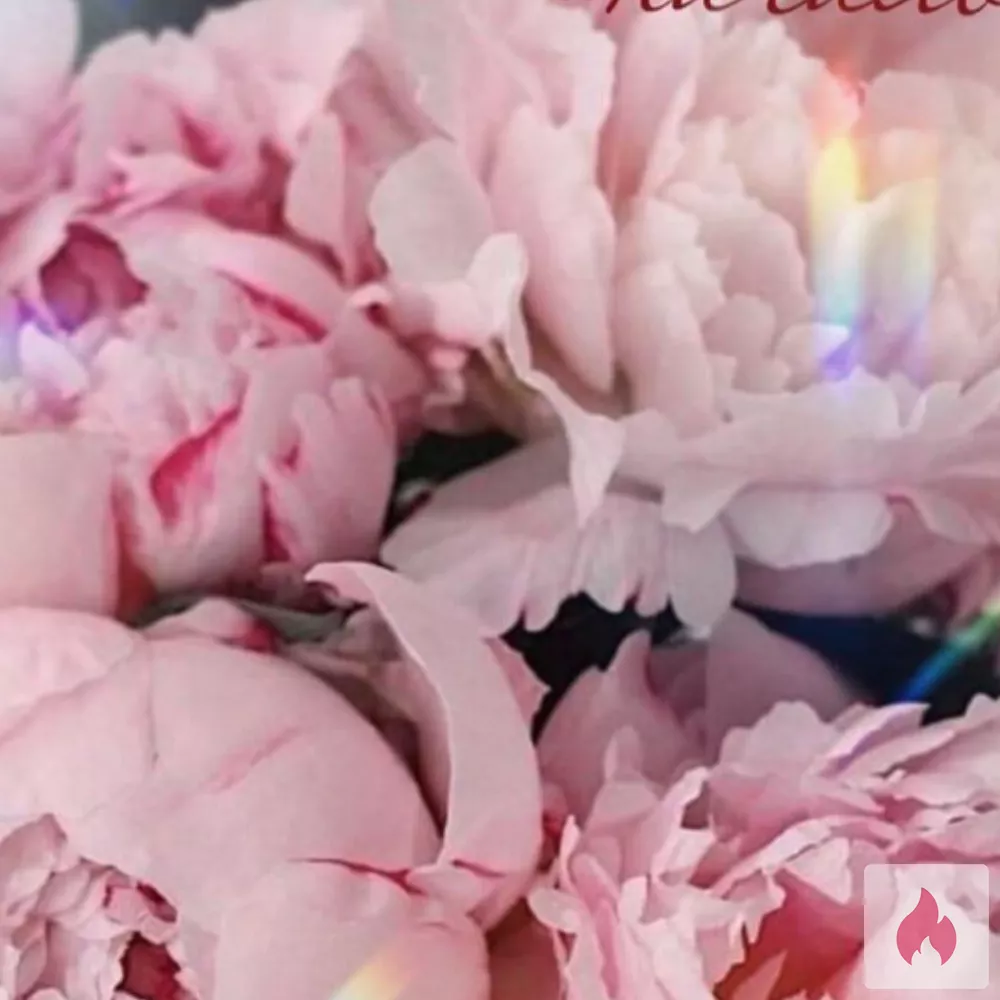 Ich lecke deine Pussy schön sauber  aus  - Hamburg / Bergedorf - Kontaktanzeige