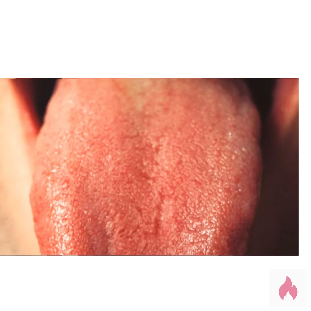 Biete mich als Lecksklave für alle Frauen   - Hessen / Frankfurt am Main - Kontaktanzeige