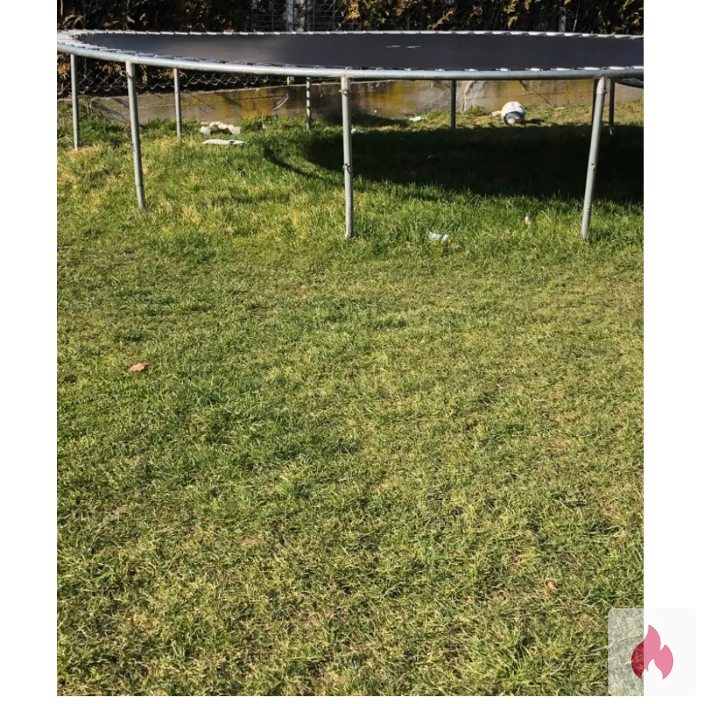 Suche eine Zofe - Bayern / Landkreis Schwandorf - Kontaktanzeige