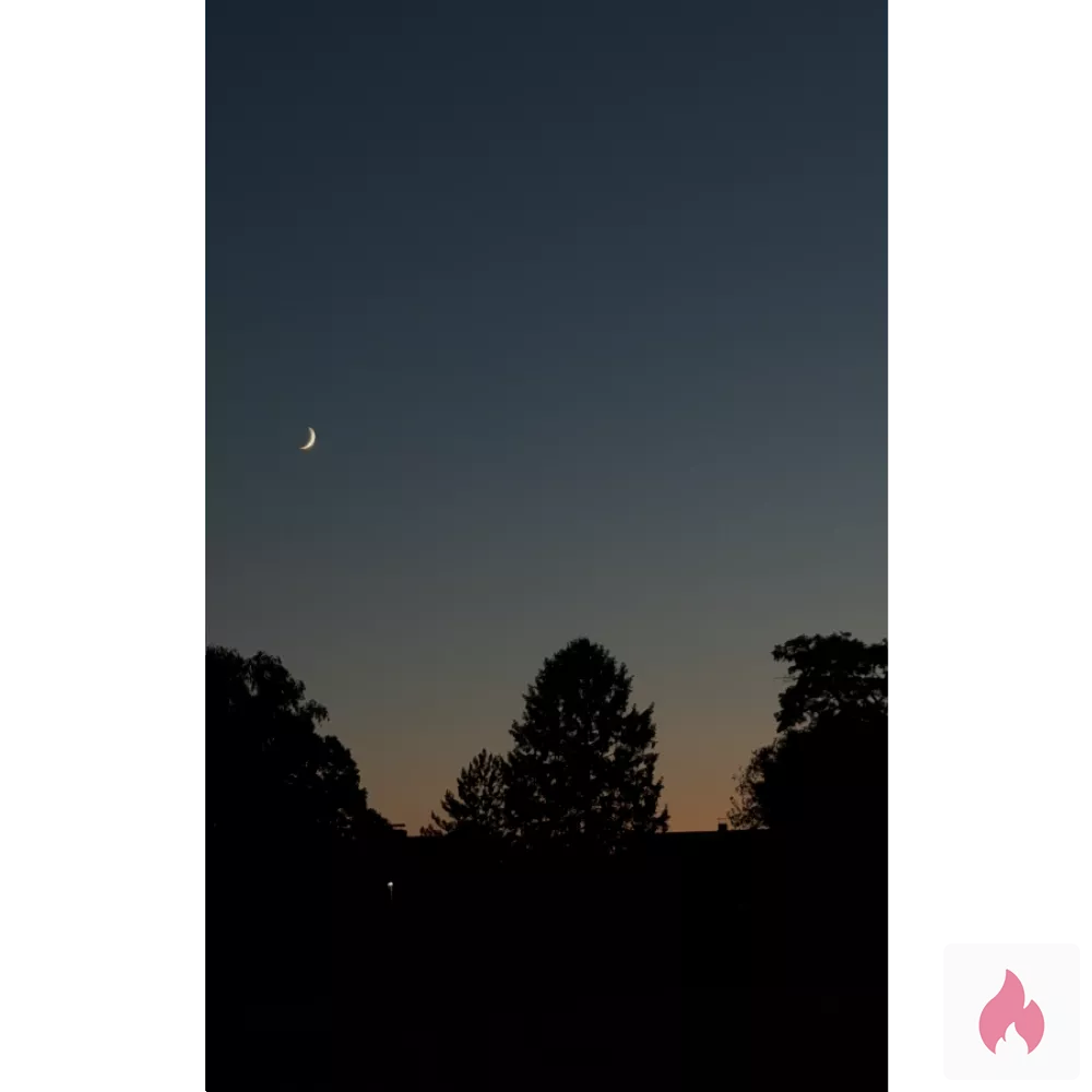 Sex jetzt gesucht  - Nordrhein-Westfalen / Rhein-Kreis Neuss - Kontaktanzeige