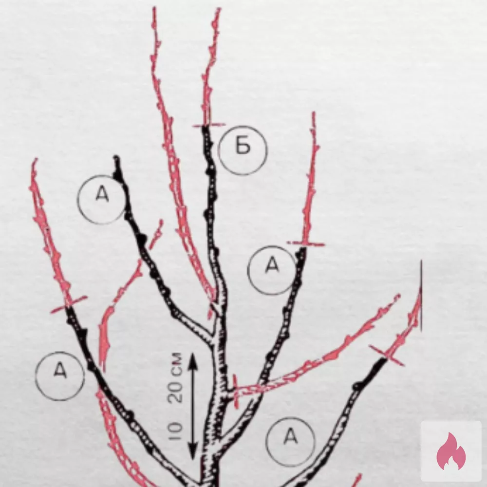 Unerfahrene neugierige gesucht - Hessen / Wetteraukreis - Kontaktanzeige