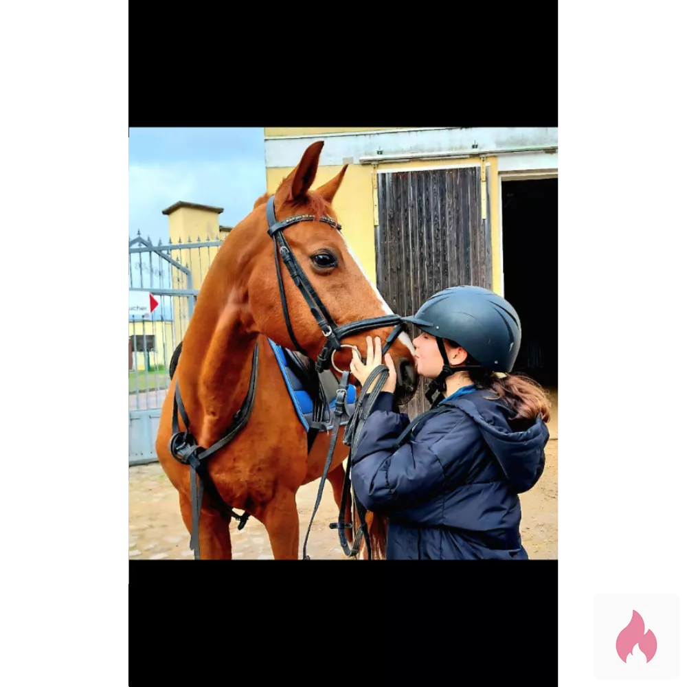 Laura die geile reiterin - Sachsen-Anhalt / Anhalt-Bitterfeld - Kontaktanzeige