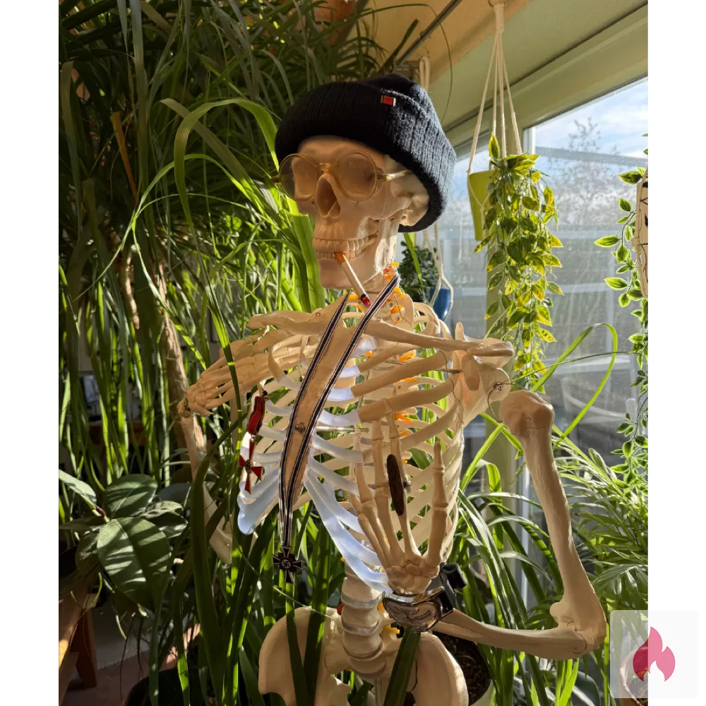 Sex Chat mit Frauen  - Bayern / Ansbach - Kontaktanzeige