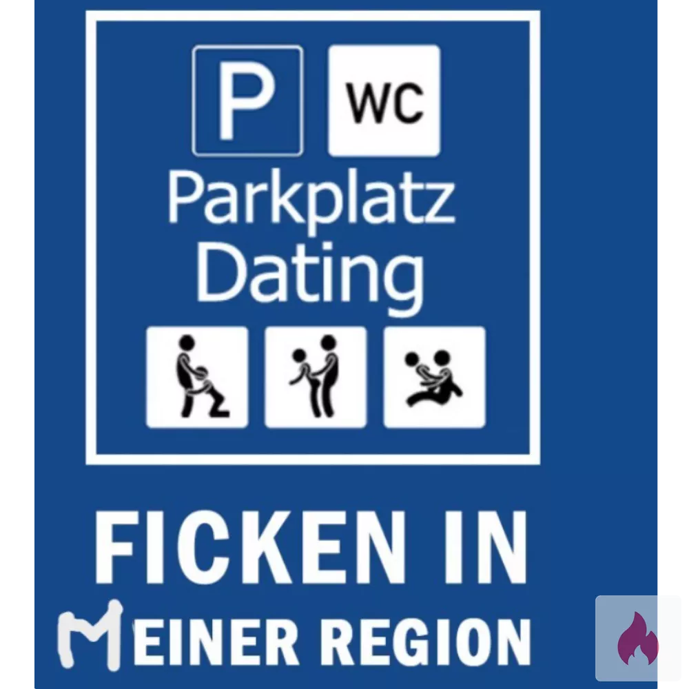 Suche leidenschaftliche Reiterin für Outdoor Ausritte - Sachsen / Leipzig - Kontaktanzeige