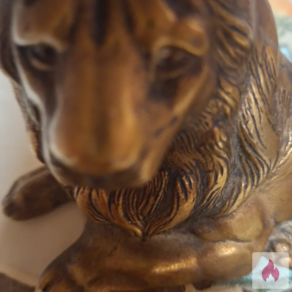 Absolute devote sie gesucht - Hessen / Wiesbaden - Kontaktanzeige