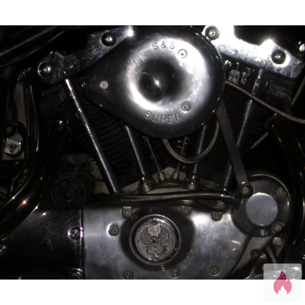 picobestever63 - Nordrhein-Westfalen / Olfen - Kontaktanzeige