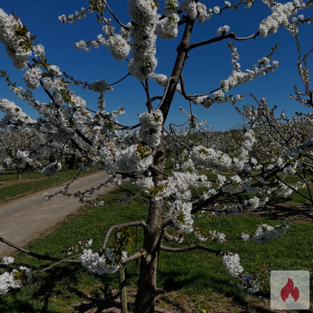 Ohne Berührung zum Orgasmus - Rheinland-Pfalz / Koblenz - Kontaktanzeige