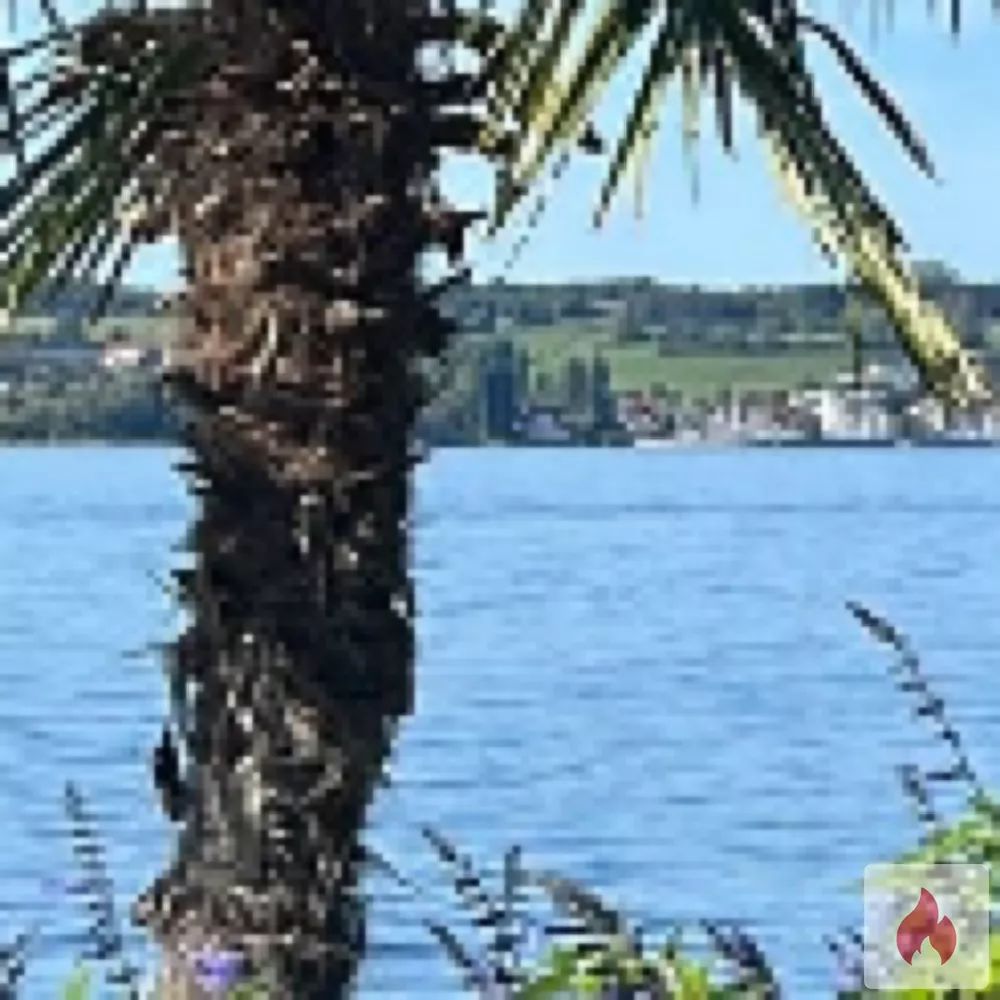 Glücksmomente  - Baden-Württemberg / Schwarzwald-Baar-Kreis - Kontaktanzeige