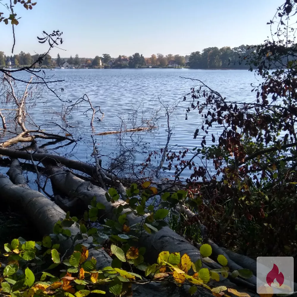 Biete neue Erfahrungen und schöne Momente - Brandenburg / Uckermark - Kontaktanzeige