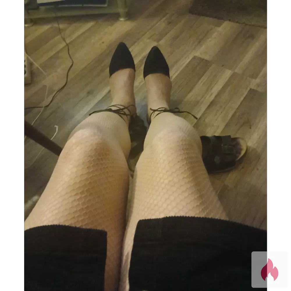 DWT sucht dominant  - Hessen / Main-Kinzig-Kreis - Kontaktanzeige