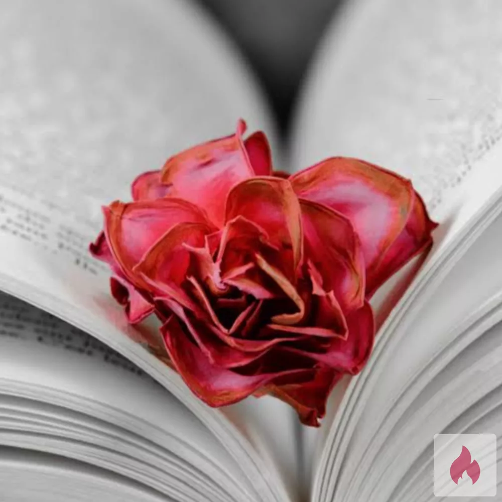 Private Kontakte zwecks Erotiktreffen gesucht. - Nordrhein-Westfalen / Düsseldorf - Kontaktanzeige