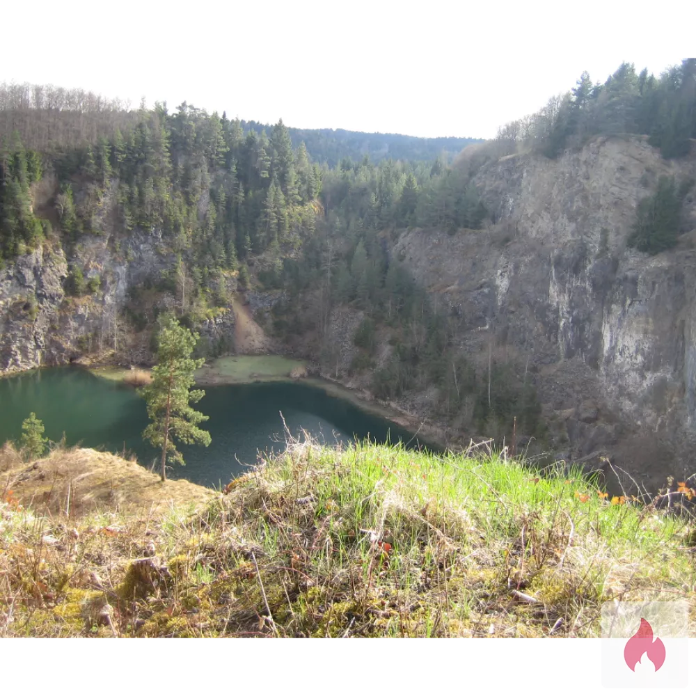 Gutbestückte Stecher (ab ca. 18x5 cm) - Baden-Württemberg / Landkreis Konstanz - Kontaktanzeige