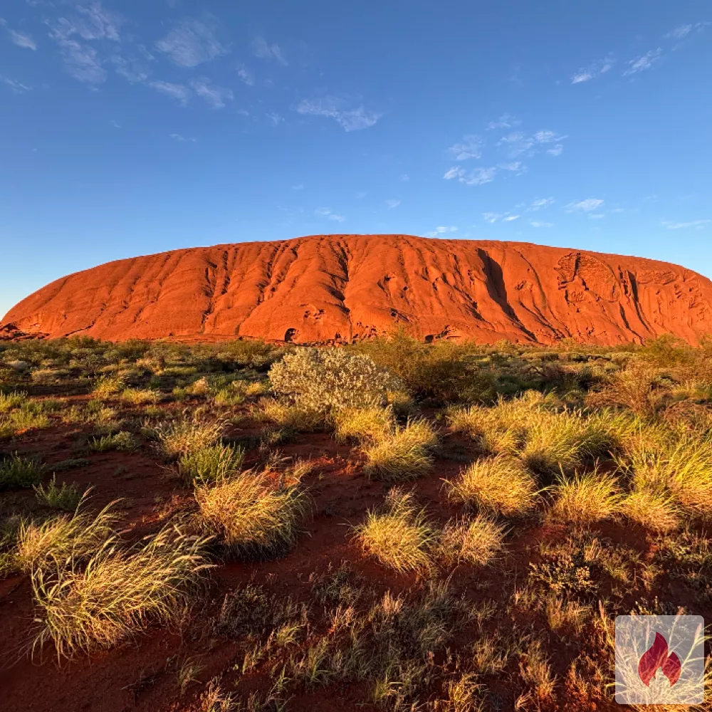 Lady, dressed to kill - Nordrhein-Westfalen / Düsseldorf - Kontaktanzeige