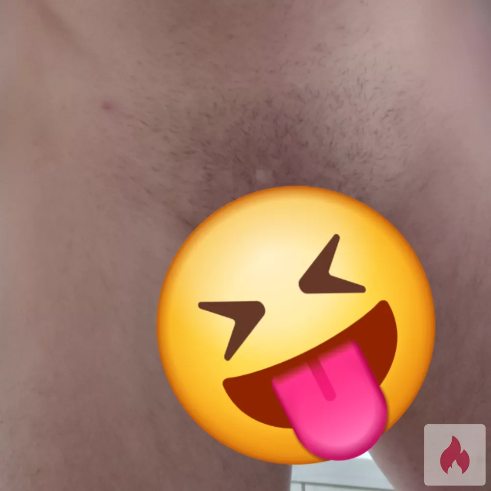 Hengst sucht Stute - Nordrhein-Westfalen / Kreis Recklinghausen - Kontaktanzeige