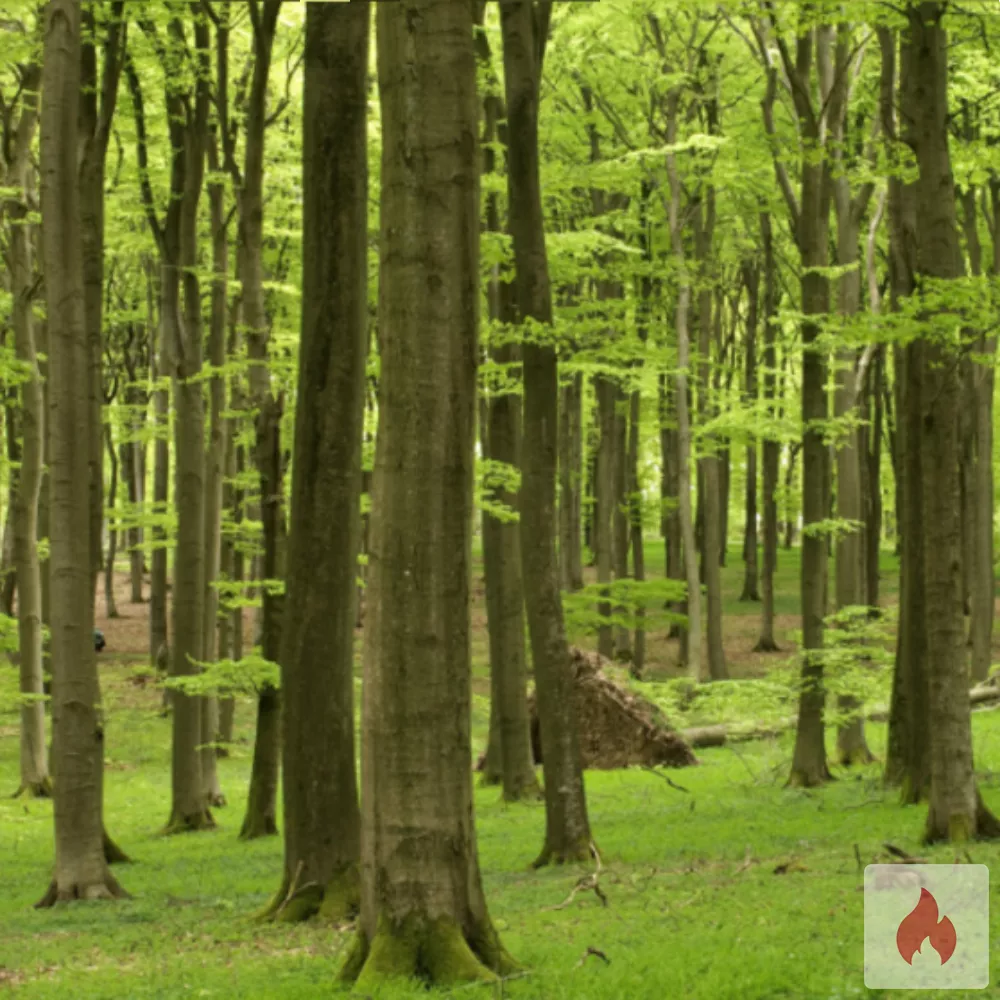 Lust auf ein kleines schnelles diskretes Stelldichein  - Sachsen / Landkreis Leipzig - Kontaktanzeige