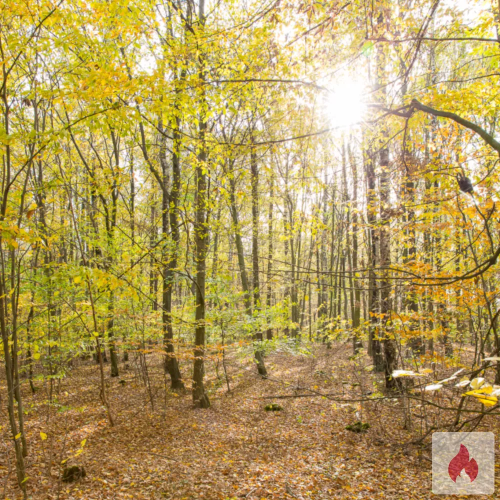 Lust auf ein kleines schnelles diskretes Stelldichein  - Sachsen / Landkreis Leipzig - Kontaktanzeige