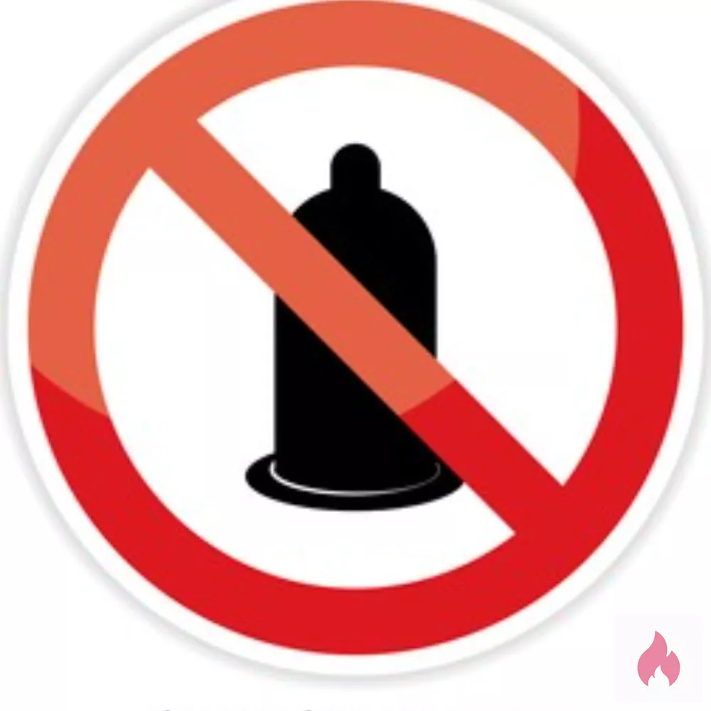 Suche junge Zuchtstute ab 18 J zum Decken  - Nordrhein-Westfalen / Münster - Kontaktanzeige