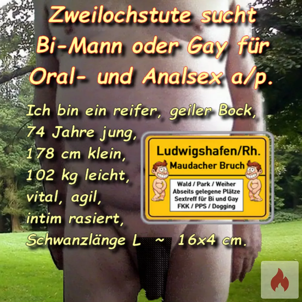 Suche Bi-Mann für a/p Schwanz blasen und Arsch ficken. - Rheinland-Pfalz / Ludwigshafen am Rhein - Kontaktanzeige