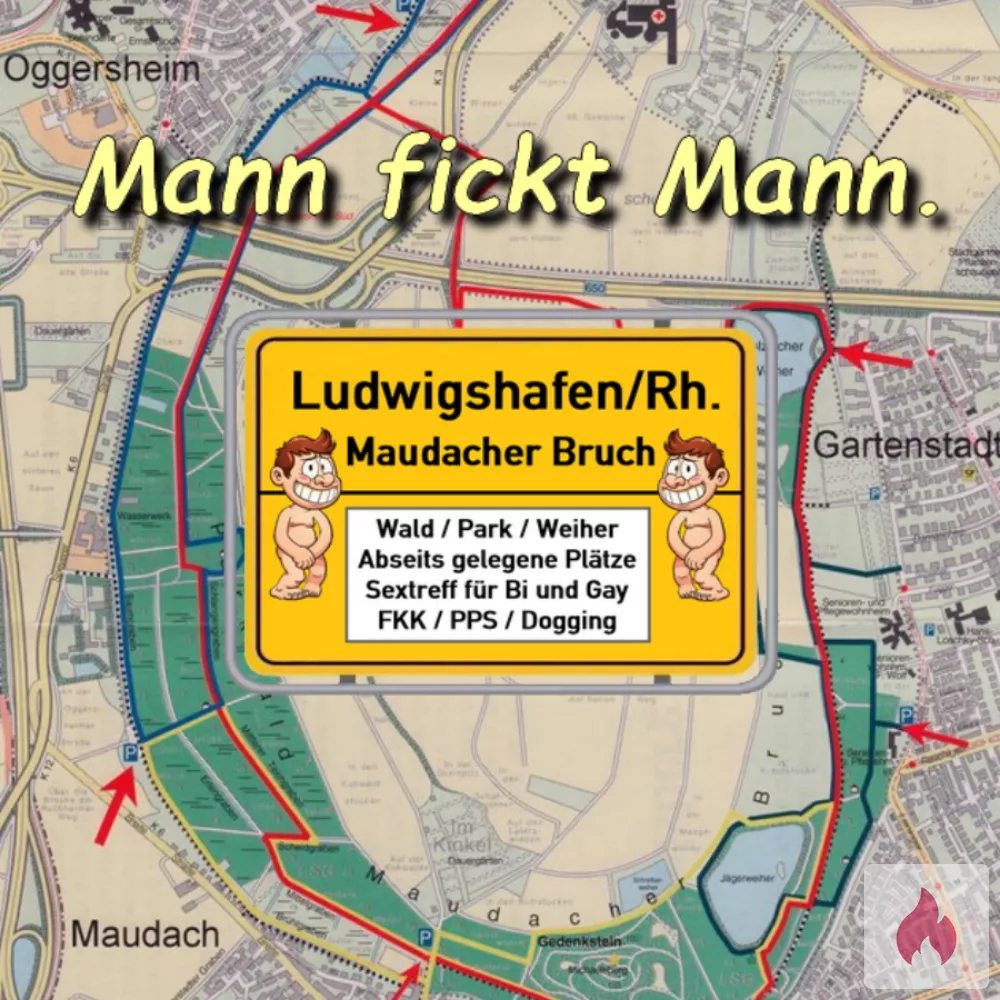 Suche Bi-Mann für a/p Schwanz blasen und Arsch ficken. - Rheinland-Pfalz / Ludwigshafen am Rhein - Kontaktanzeige
