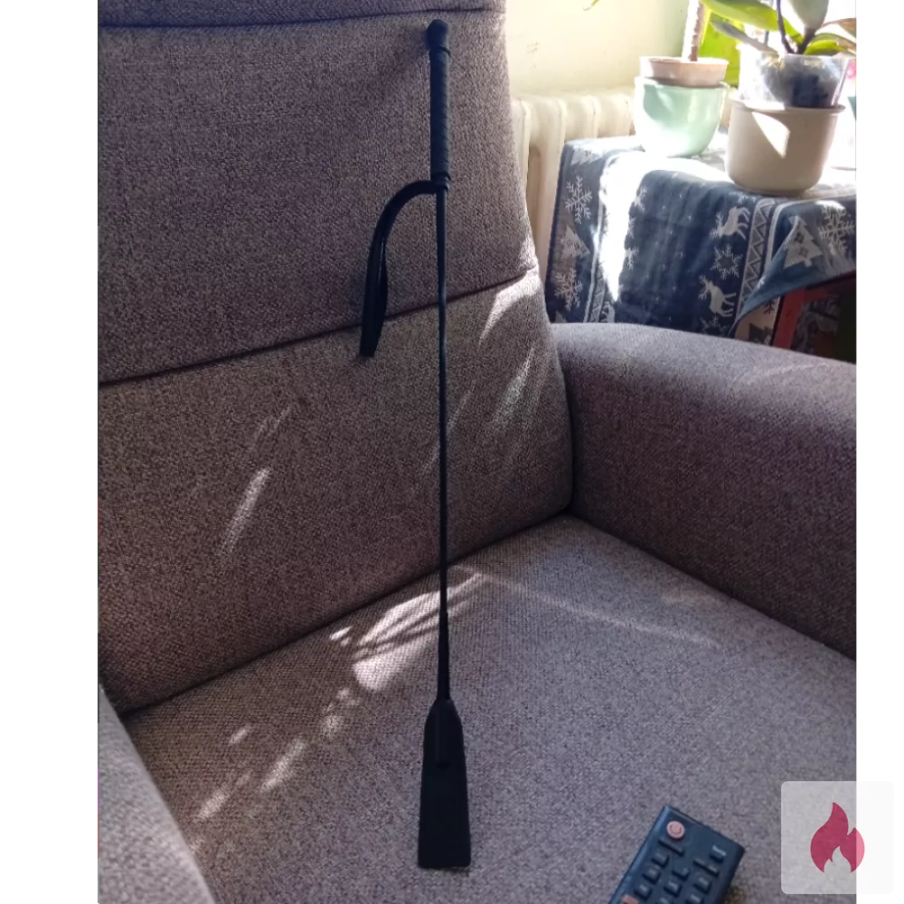 Reitgerte wartet auf Deinen Po - Schleswig-Holstein / Kiel - Kontaktanzeige