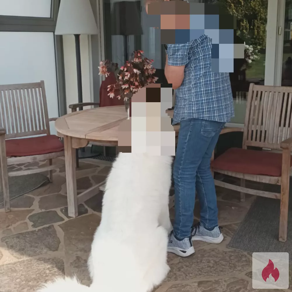 Du bist eine junge Frau? - Nordrhein-Westfalen / Wuppertal - Kontaktanzeige