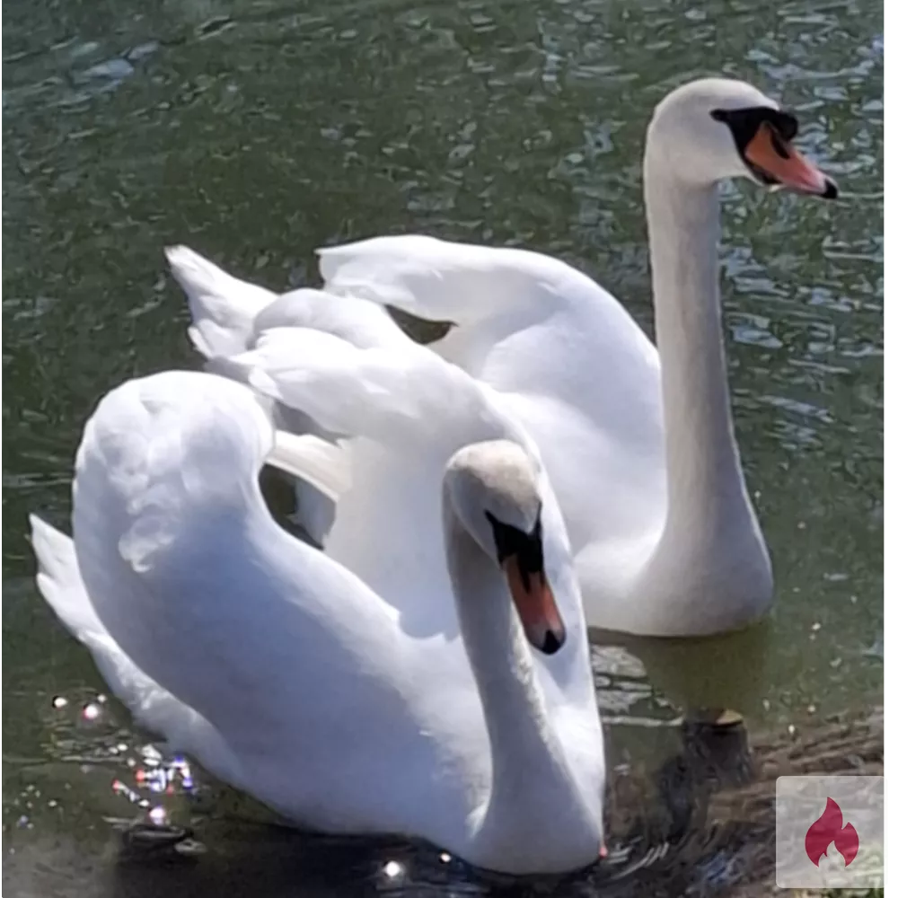 Spaß gegen Spaß  - Bayern / München - Kontaktanzeige