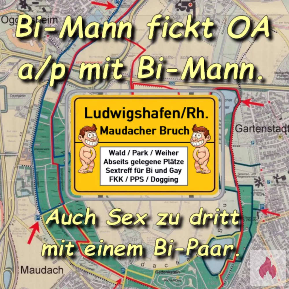 Ich suche Mann / Frau / Paar für a/p OV, GV, AV, NS. - Rheinland-Pfalz / Ludwigshafen am Rhein - Kontaktanzeige