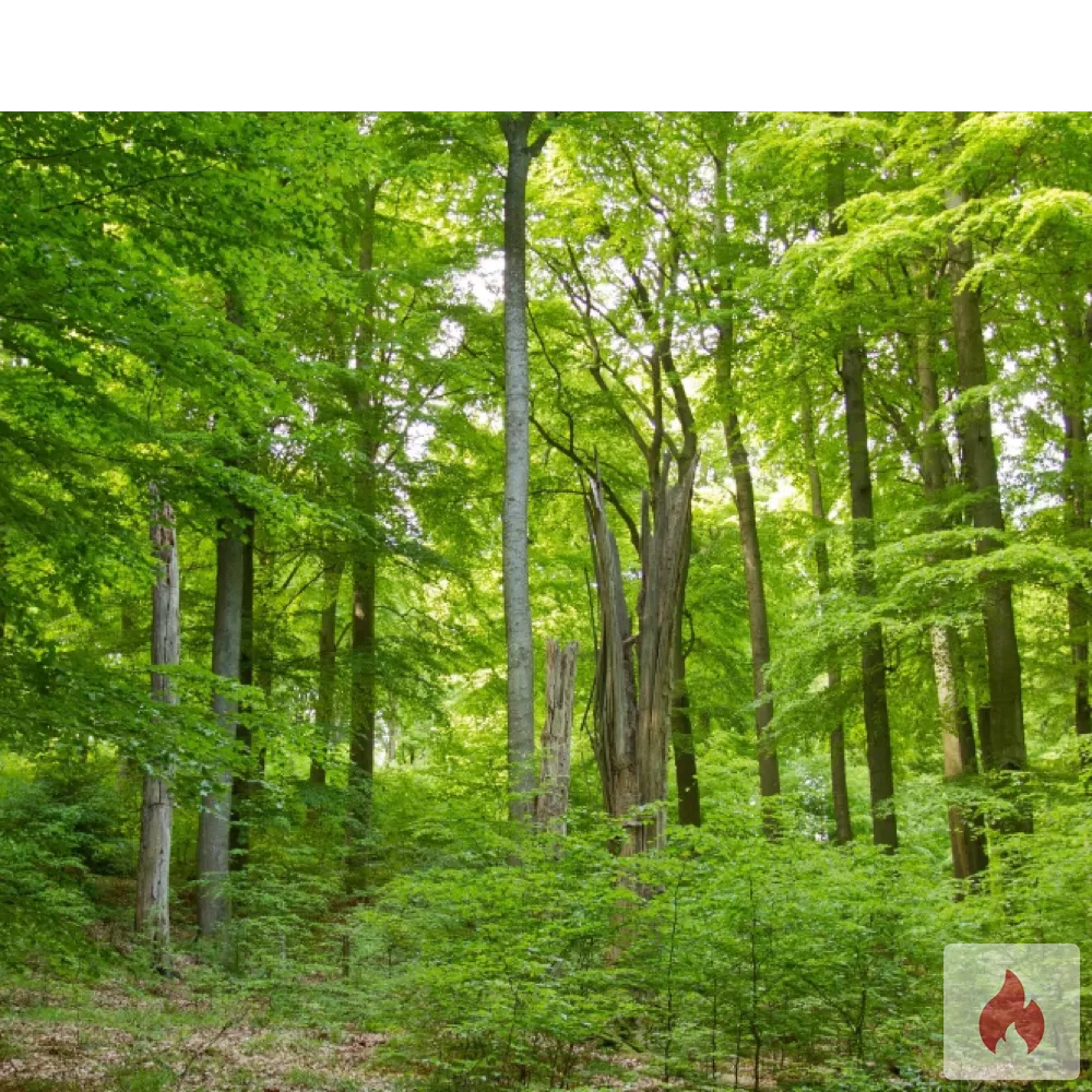 Martin 89899090 - Baden-Württemberg / Landkreis Konstanz - Kontaktanzeige