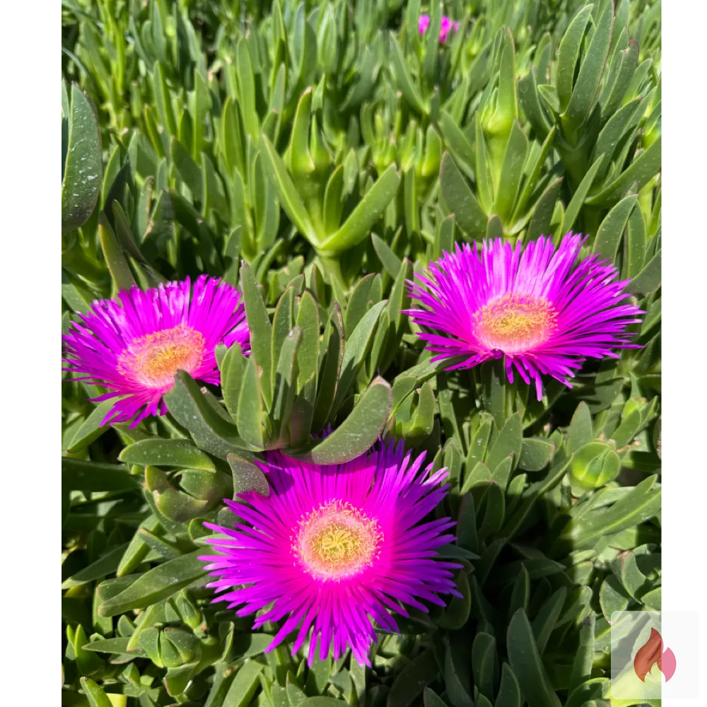 Hoffnung nicht verloren  - Berlin / Friedrichshain-Kreuzberg - Kontaktanzeige